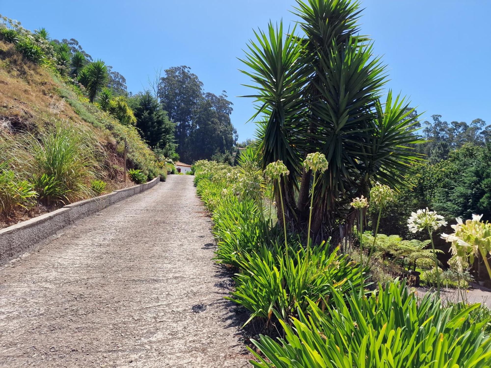 Cantinho Rural Ferienhaus Camacha (Madeira)