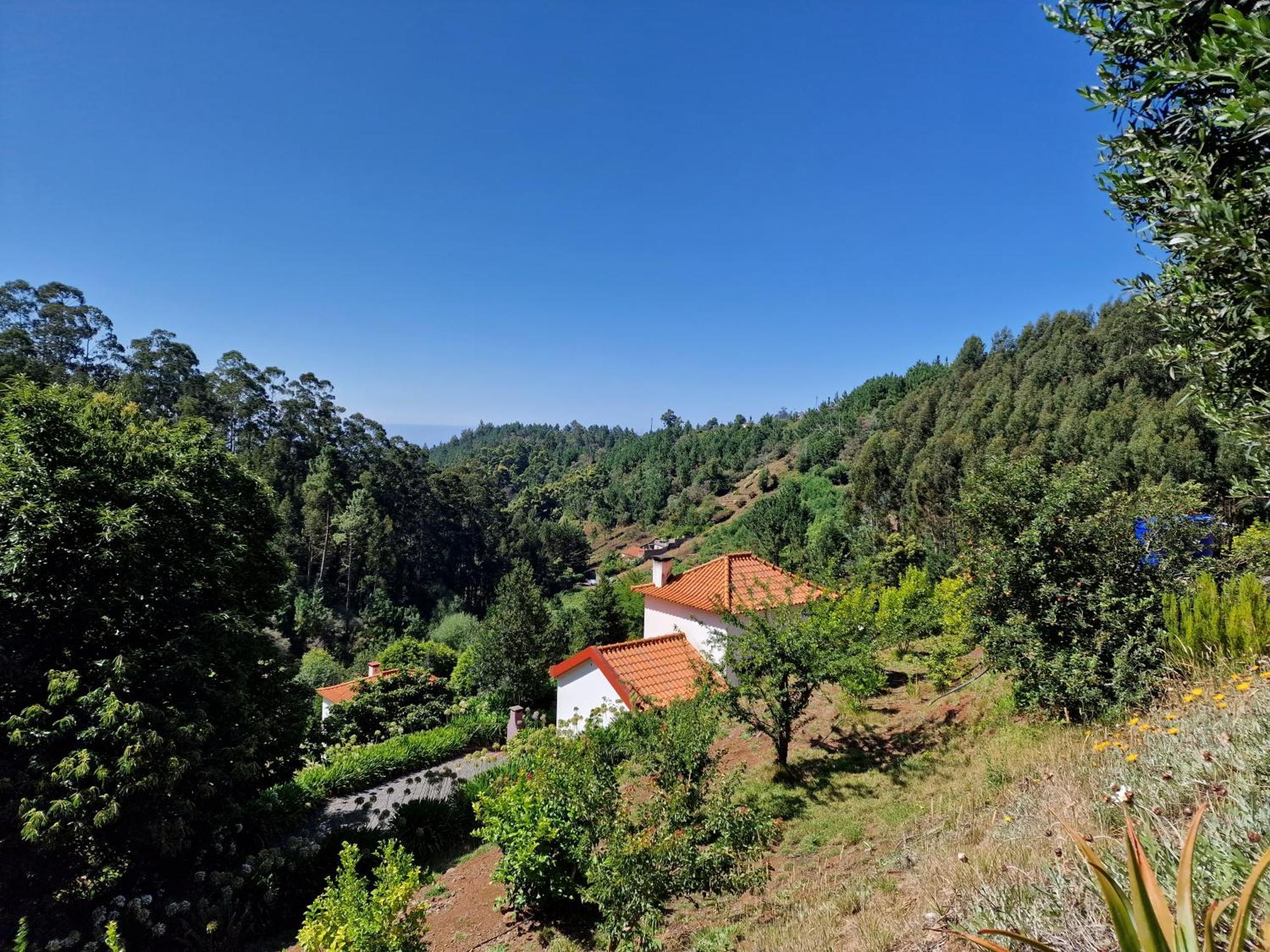 Cantinho Rural * Camacha (Madeira)