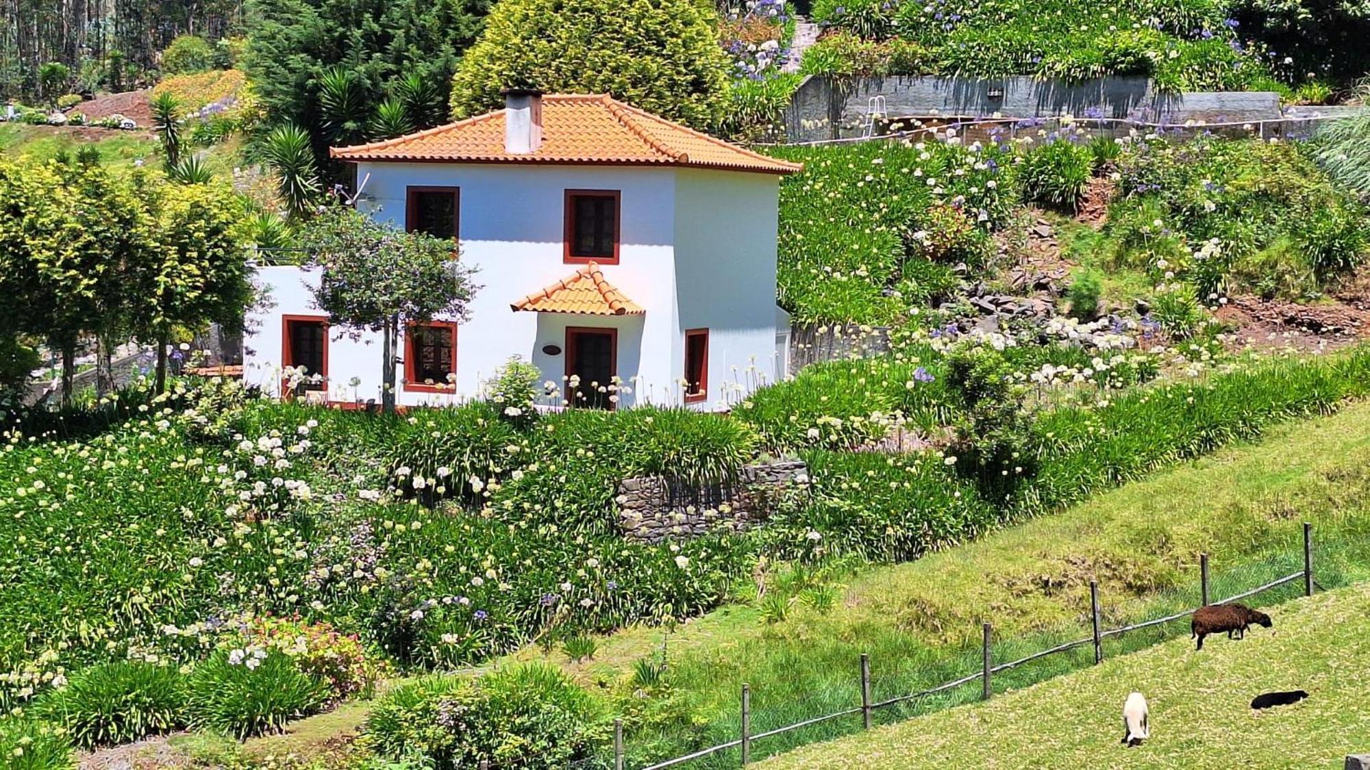 Cantinho Rural Camacha (Madeira)